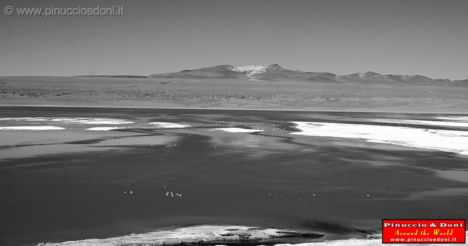 BOLIVIA 2 - Laguna Colorada - 04.jpg